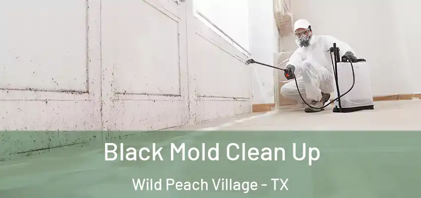  Black Mold Clean Up Wild Peach Village - TX
