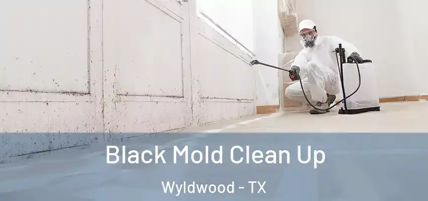 Black Mold Clean Up Wyldwood - TX