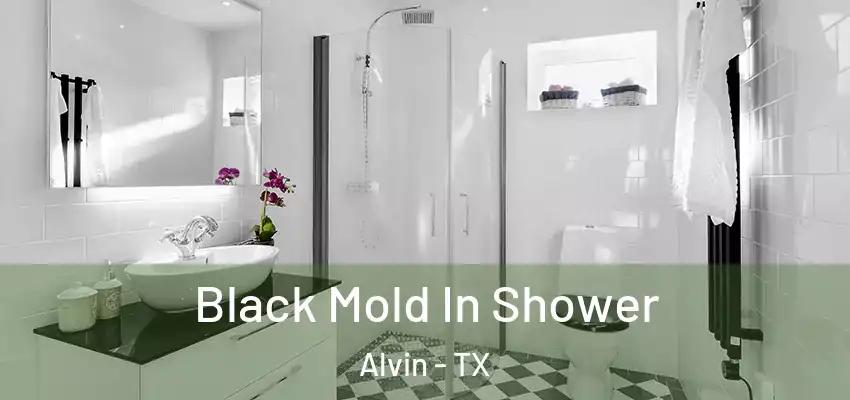 Black Mold In Shower Alvin - TX