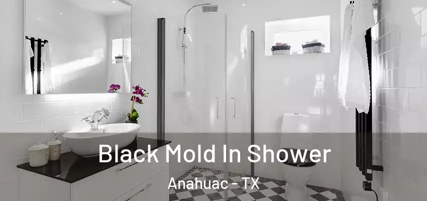 Black Mold In Shower Anahuac - TX