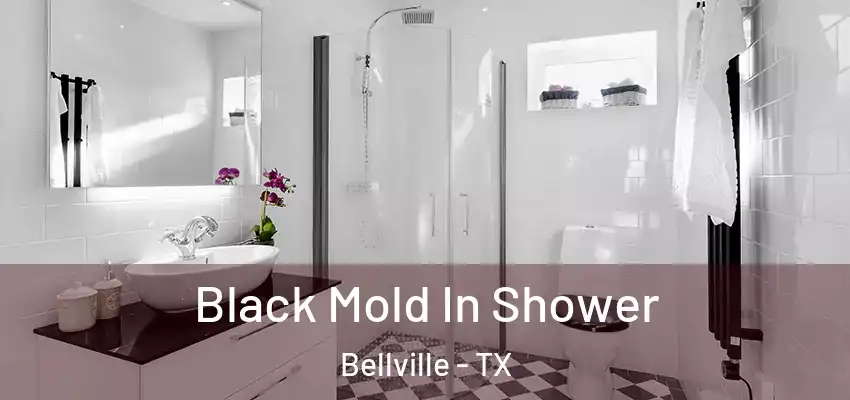  Black Mold In Shower Bellville - TX