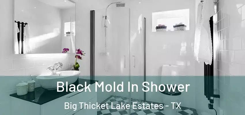 Black Mold In Shower Big Thicket Lake Estates - TX