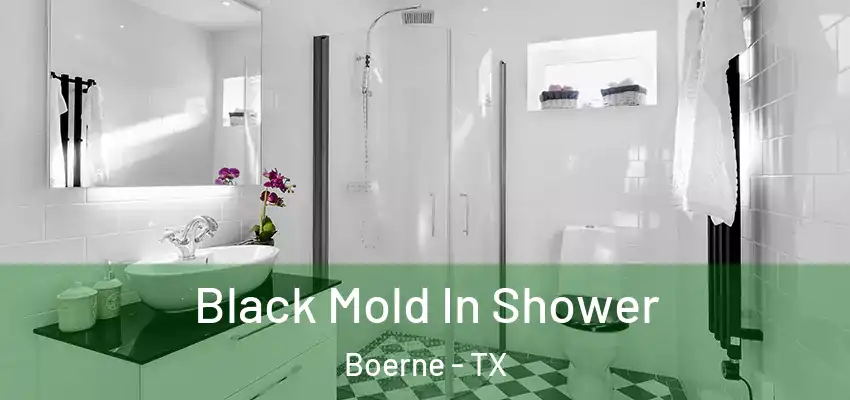  Black Mold In Shower Boerne - TX
