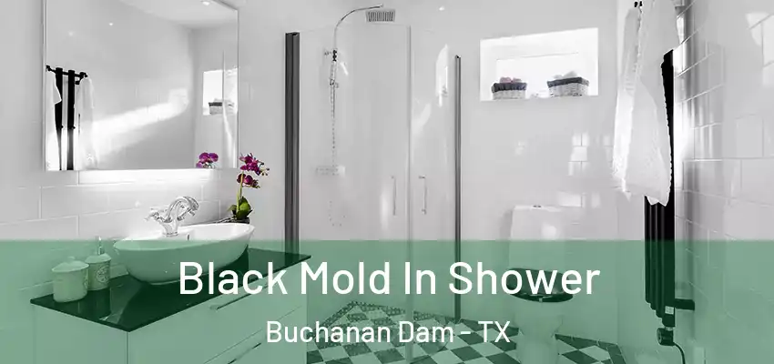  Black Mold In Shower Buchanan Dam - TX