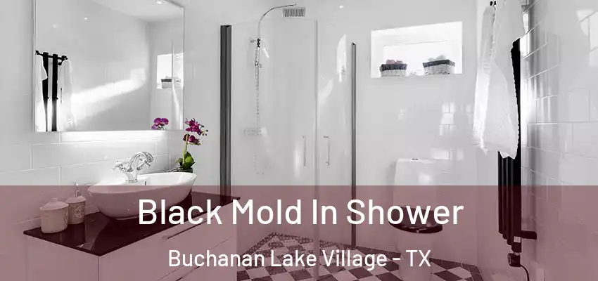 Black Mold In Shower Buchanan Lake Village - TX