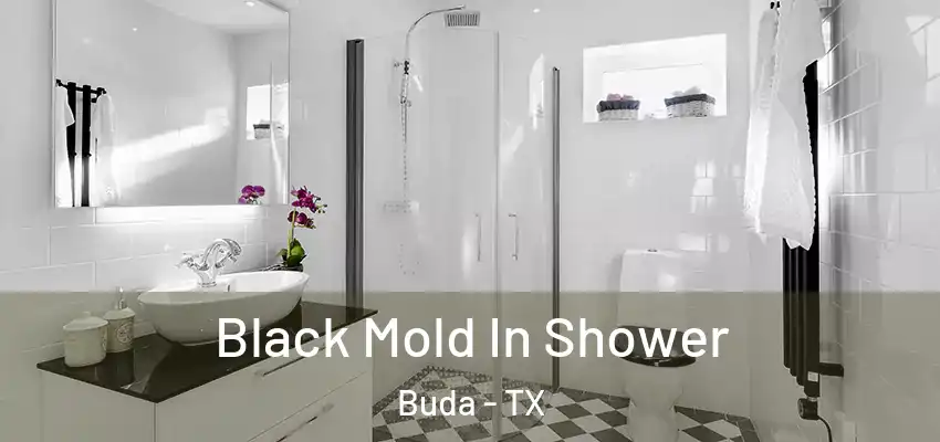  Black Mold In Shower Buda - TX