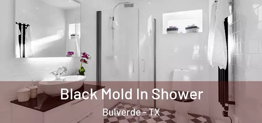 Black Mold In Shower Bulverde - TX