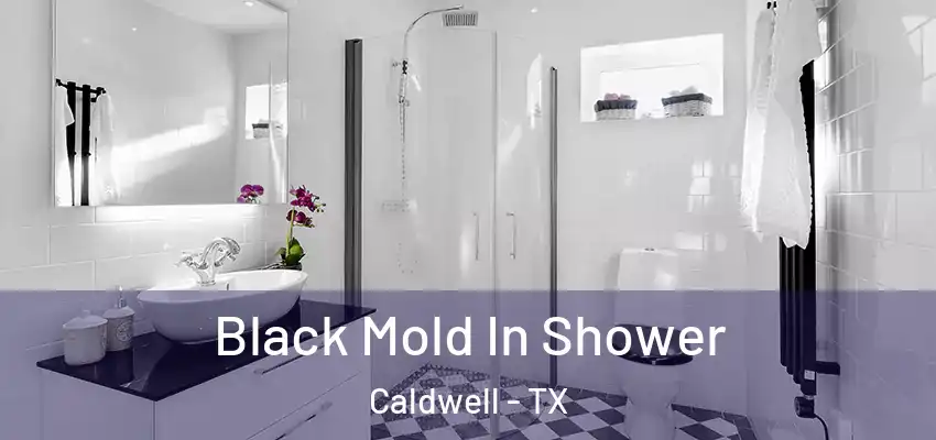  Black Mold In Shower Caldwell - TX