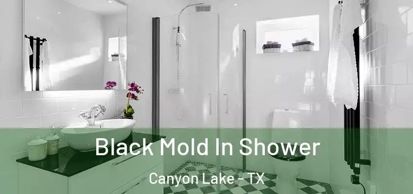  Black Mold In Shower Canyon Lake - TX