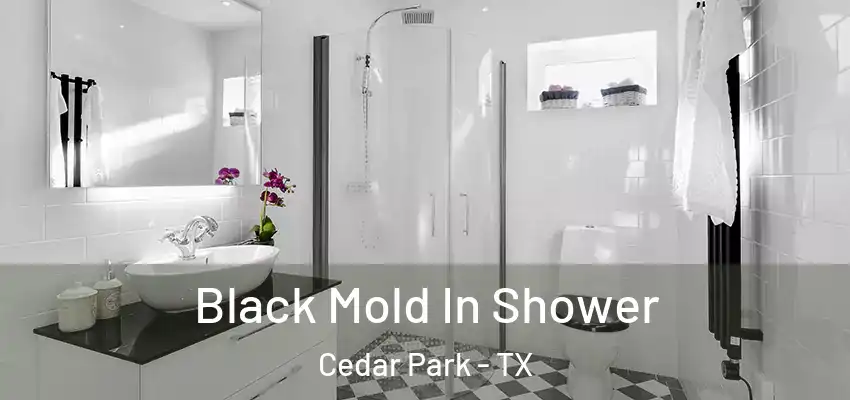 Black Mold In Shower Cedar Park - TX