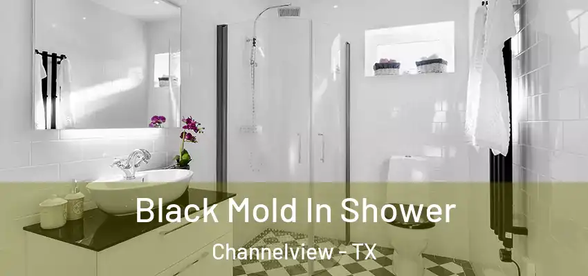  Black Mold In Shower Channelview - TX