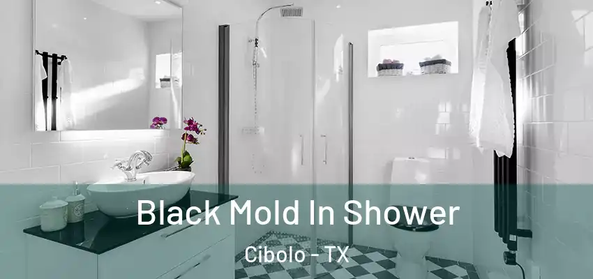  Black Mold In Shower Cibolo - TX