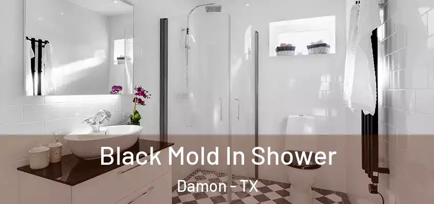  Black Mold In Shower Damon - TX