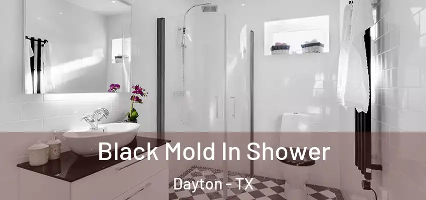  Black Mold In Shower Dayton - TX