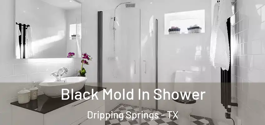 Black Mold In Shower Dripping Springs - TX