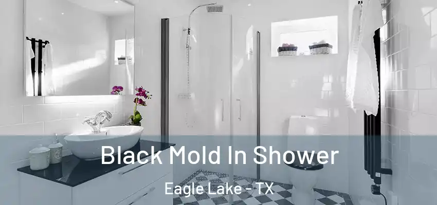 Black Mold In Shower Eagle Lake - TX