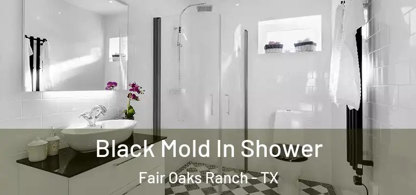 Black Mold In Shower Fair Oaks Ranch - TX
