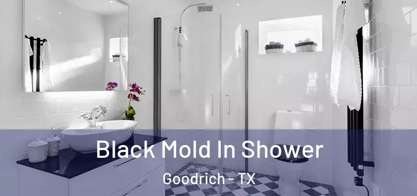 Black Mold In Shower Goodrich - TX