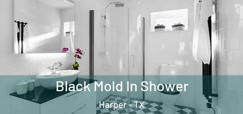  Black Mold In Shower Harper - TX