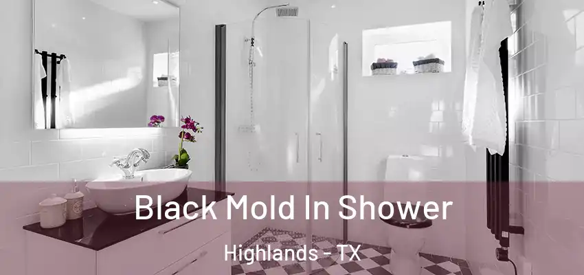  Black Mold In Shower Highlands - TX