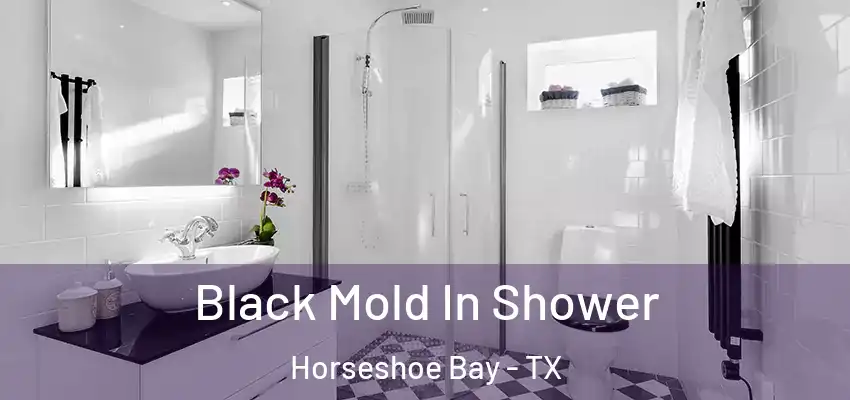 Black Mold In Shower Horseshoe Bay - TX