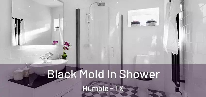 Black Mold In Shower Humble - TX