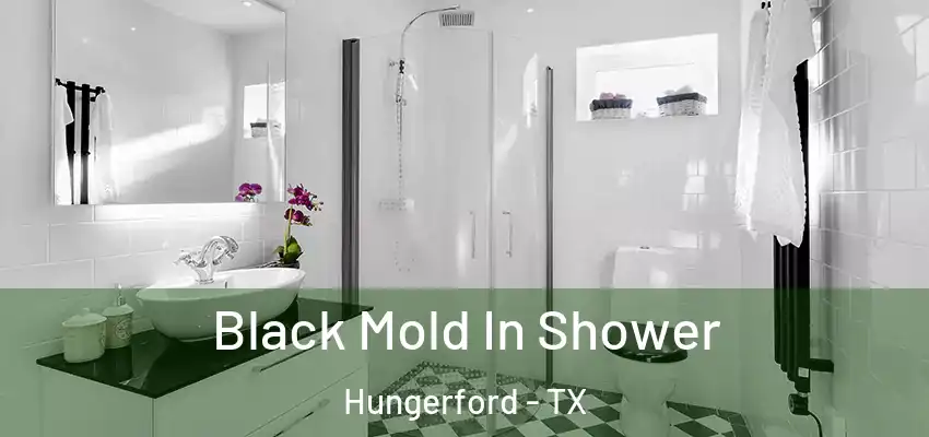  Black Mold In Shower Hungerford - TX