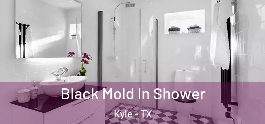 Black Mold In Shower Kyle - TX