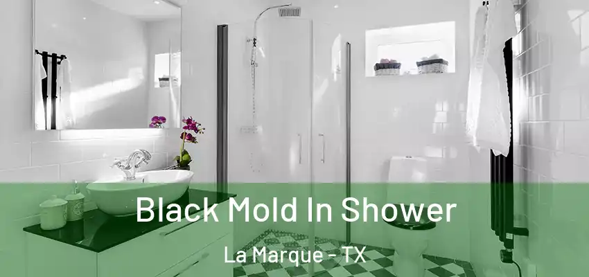  Black Mold In Shower La Marque - TX