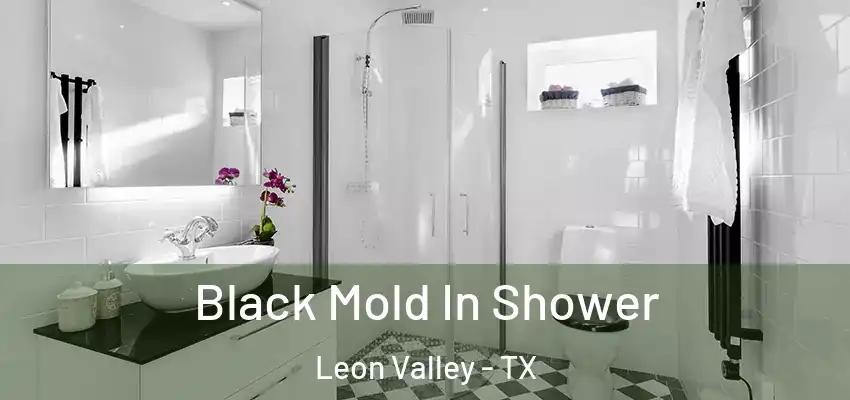  Black Mold In Shower Leon Valley - TX
