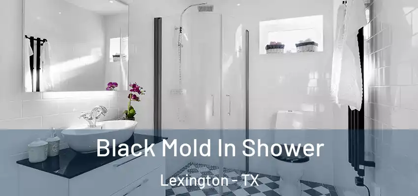  Black Mold In Shower Lexington - TX