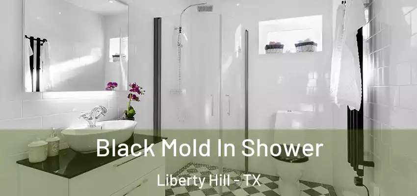 Black Mold In Shower Liberty Hill - TX