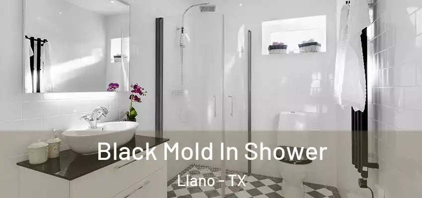  Black Mold In Shower Llano - TX