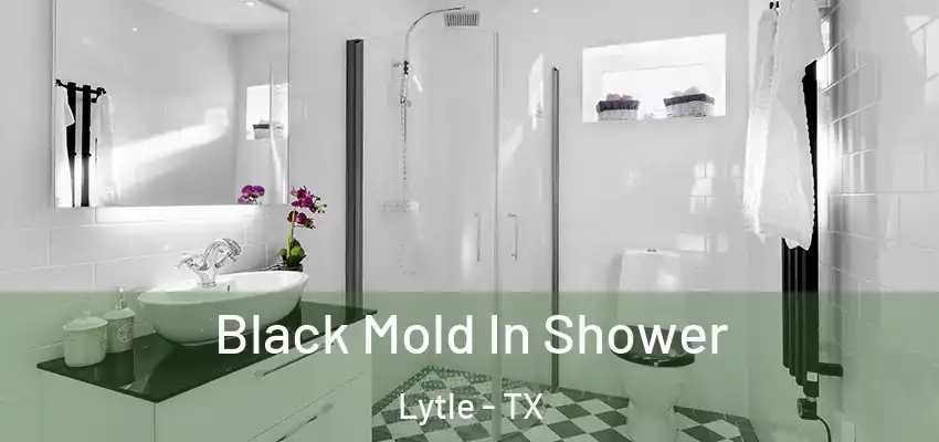  Black Mold In Shower Lytle - TX