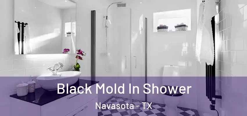  Black Mold In Shower Navasota - TX