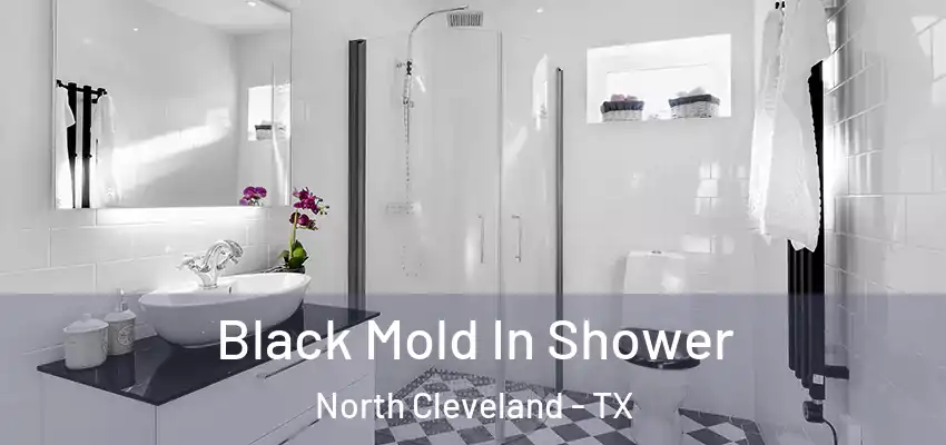 Black Mold In Shower North Cleveland - TX