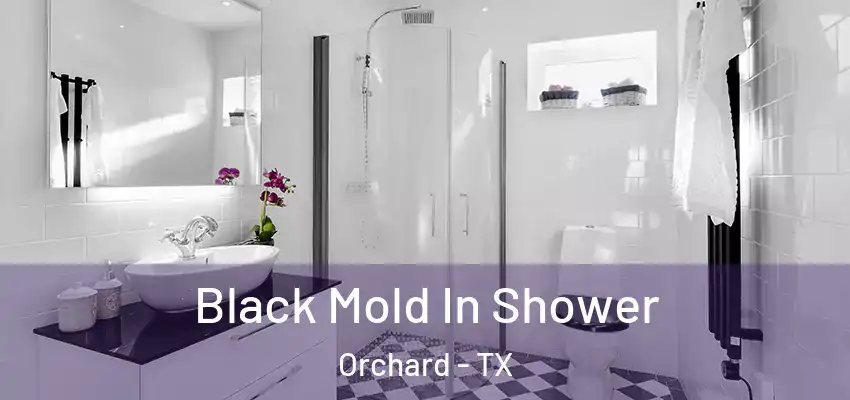  Black Mold In Shower Orchard - TX
