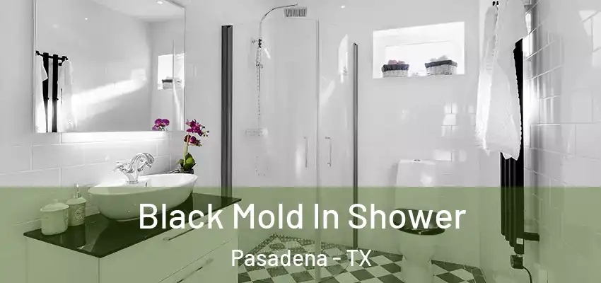  Black Mold In Shower Pasadena - TX