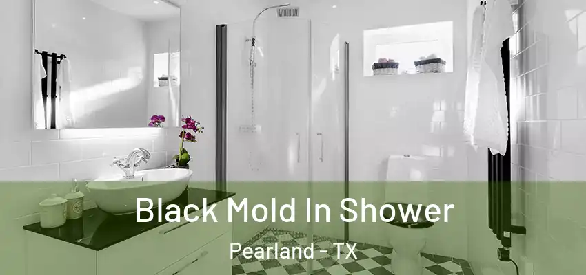  Black Mold In Shower Pearland - TX