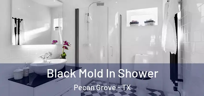  Black Mold In Shower Pecan Grove - TX