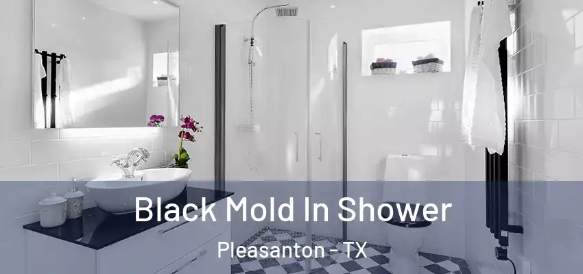  Black Mold In Shower Pleasanton - TX