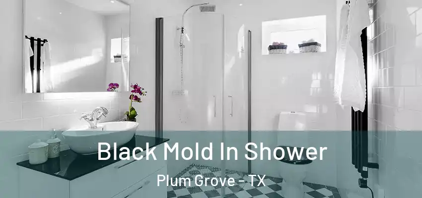 Black Mold In Shower Plum Grove - TX