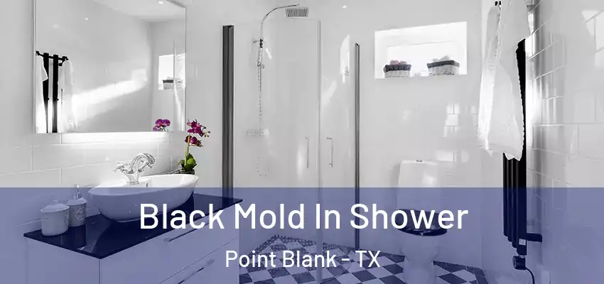  Black Mold In Shower Point Blank - TX
