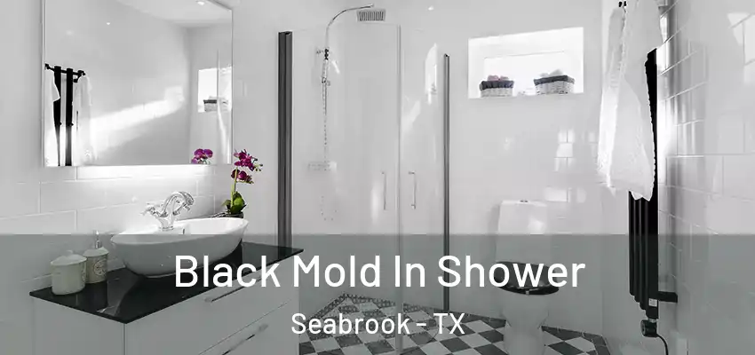  Black Mold In Shower Seabrook - TX