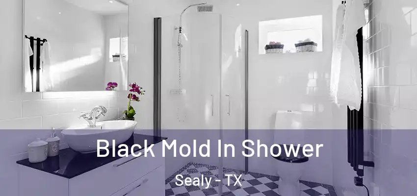  Black Mold In Shower Sealy - TX