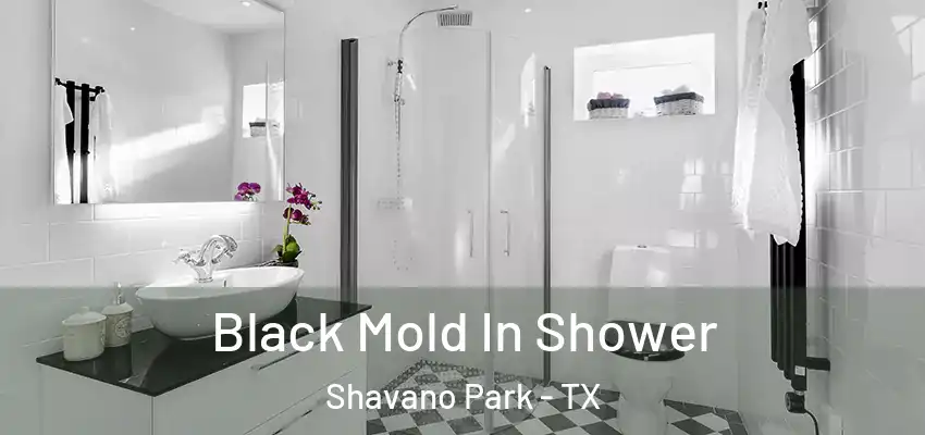 Black Mold In Shower Shavano Park - TX