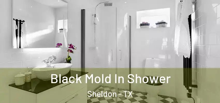  Black Mold In Shower Sheldon - TX
