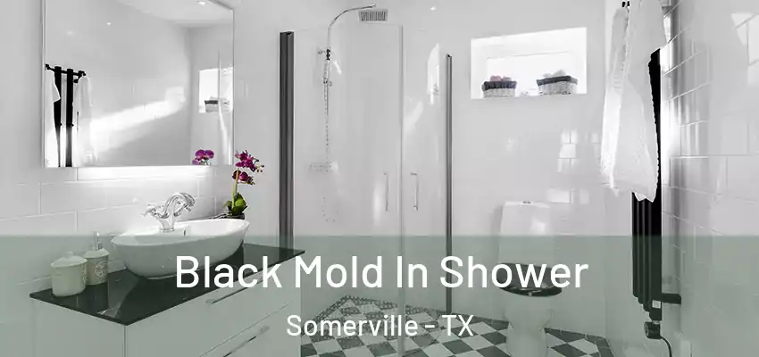  Black Mold In Shower Somerville - TX