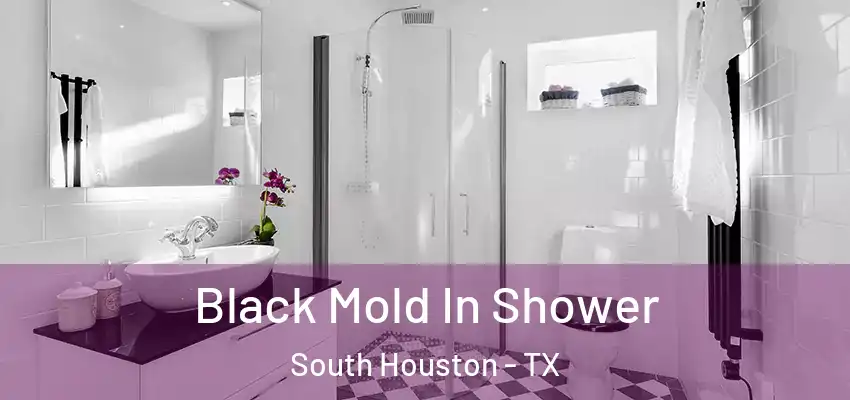Black Mold In Shower South Houston - TX