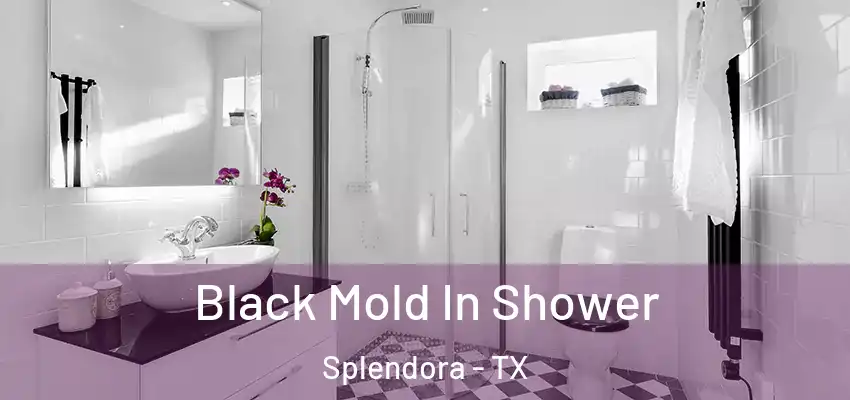  Black Mold In Shower Splendora - TX